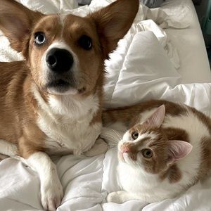 Meet your Posher, Taylor